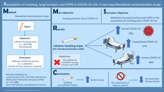 A joint HKU-CUHK study finds that smoking increases the risk of COVID-19 
 